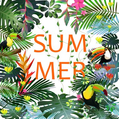 Toucans ve egzotik bitki örtüsü, üzüm, çiçekler arasında tropikal ormanlarda STERLİÇYA. Güney Amerika, Orta Afrika, Güneydoğu Asya ve Avustralya. Muson ormanları, Mangroves.Vector afiş .