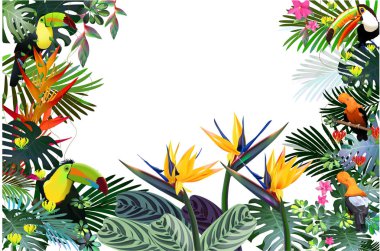 Toucans ve egzotik bitki örtüsü, üzüm, çiçekler arasında tropikal ormanlarda STERLİÇYA. Güney Amerika, Orta Afrika, Güneydoğu Asya ve Avustralya. Muson ormanları, Mangroves.Vector afiş .