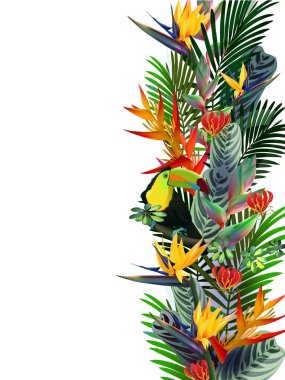 Toucans ve egzotik bitki örtüsü, üzüm, çiçekler arasında tropikal ormanlarda STERLİÇYA. Güney Amerika, Orta Afrika, Güneydoğu Asya ve Avustralya. Muson ormanları, Mangroves.Vector afiş .