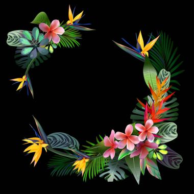 kompozisyon tropikal çiçek, yaprak, asma: STERLİÇYA, Plumeria, Güney Amerika, Orta Afrika, Güneydoğu Asya ve Avustralya. Muson ormanları, mangrovlar