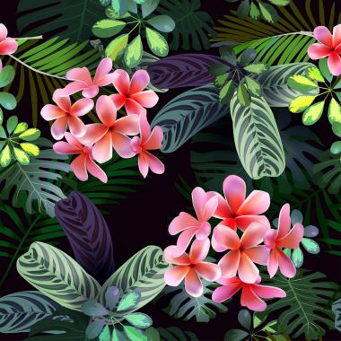 Vektör seamless modeli tropik çiçekler, yapraklar, üzüm: STERLİÇYA, Plumeria, Güney Amerika, Orta Afrika, Güneydoğu Asya ve Avustralya. Muson ormanları, Mangroves.For Tekstil