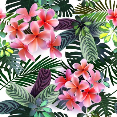 Vektör seamless modeli tropik çiçekler, yapraklar, üzüm: STERLİÇYA, Plumeria, Güney Amerika, Orta Afrika, Güneydoğu Asya ve Avustralya. Muson ormanları, Mangroves.For Tekstil