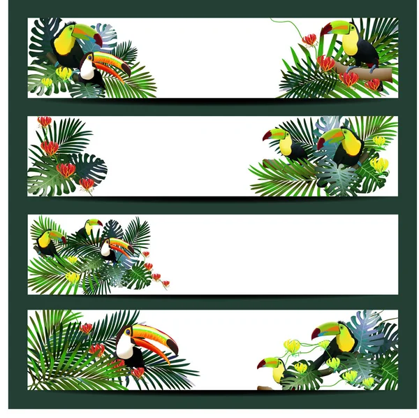 Vector banner templates set with tropical birds summer theme.Vector Illustration — Stock Vector