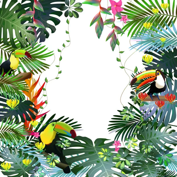 Toucans and Strelitzia,  in tropical forests among exotic foliage, vines, flowers.South America, Central Africa, Southeast Asia and Australia. Monsoon forests, Mangroves.Vector banner . — Stock Vector