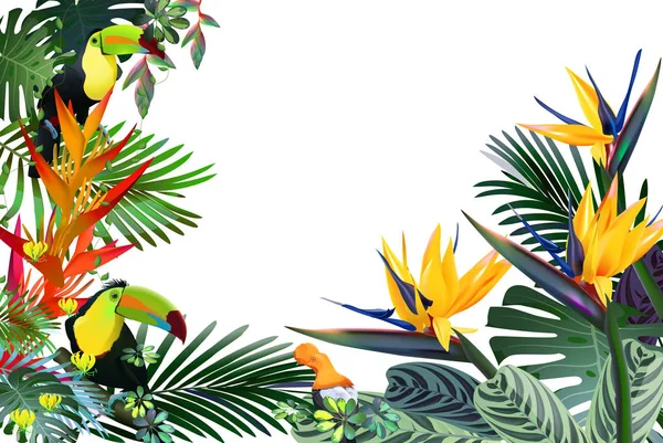 Toucans και Strelitzia, στα τροπικά δάση μεταξύ εξωτικό φύλλωμα, κληματαριές, λουλούδια. Νότια Αμερική, Κεντρική Αφρική, Νοτιοανατολική Ασία και την Αυστραλία. Δάση μουσώνα, Mangroves.Vector banner . — Διανυσματικό Αρχείο