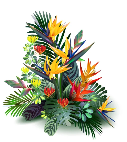 Toekans en Strelitzia, in tropische bossen tussen exotische loof, wijnstokken, bloemen. Zuid-Amerika, Centraal-Afrika, Zuidoost-Azië en Australië. Moesson bossen, Mangroves.Vector banner . — Stockvector