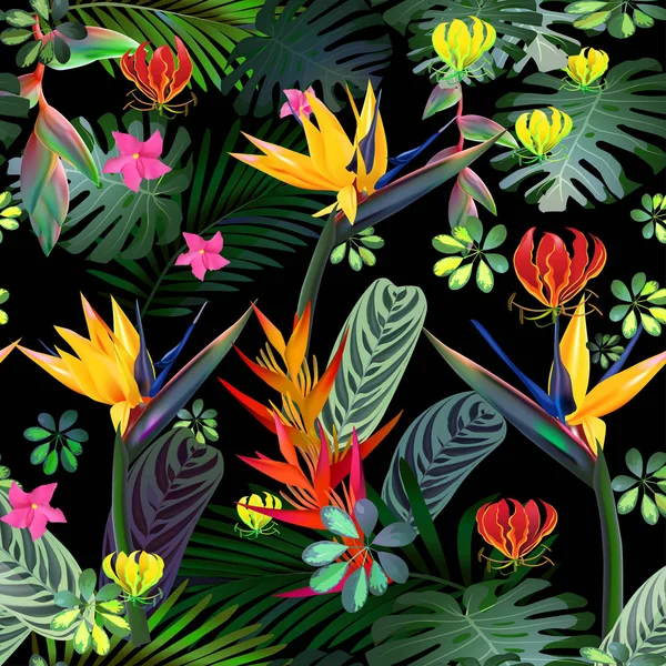 Patrón sin costura vectorial de flores tropicales, hojas, vides: Strelitzia, Plumeria, Sudamérica, África Central, Sudeste Asiático y Australia. Bosques monzónicos, manglares. — Vector de stock