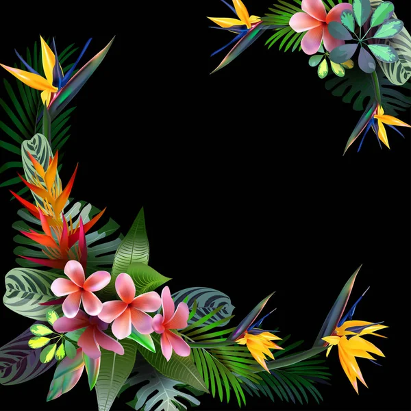 Toekans en Strelitzia, in tropische bossen tussen exotische loof, wijnstokken, bloemen. Zuid-Amerika, Centraal-Afrika, Zuidoost-Azië en Australië. Moesson bossen, Mangroves.Vector banner . — Stockvector