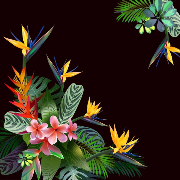 Toucans και Strelitzia, στα τροπικά δάση μεταξύ εξωτικό φύλλωμα, κληματαριές, λουλούδια. Νότια Αμερική, Κεντρική Αφρική, Νοτιοανατολική Ασία και την Αυστραλία. Δάση μουσώνα, Mangroves.Vector banner . — Διανυσματικό Αρχείο