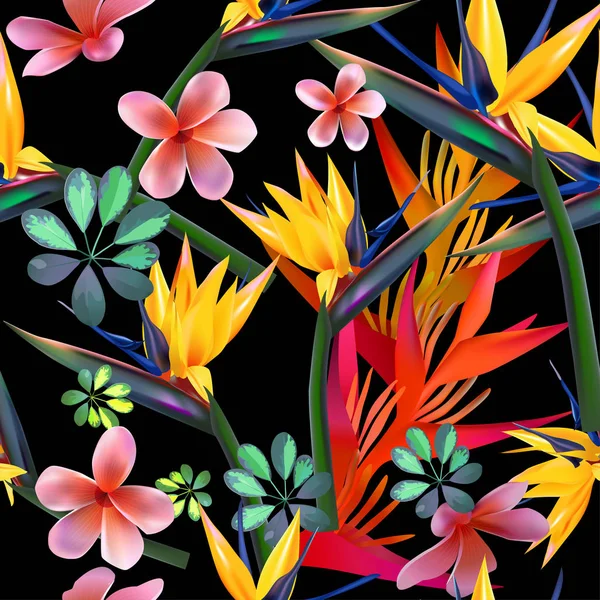 De naadloze patroon vector van tropische bloemen, bladeren, wijnstokken: Strelitzia, Plumeria, Zuid-Amerika, Centraal-Afrika, Zuidoost-Azië en Australië. Moesson bossen, Mangroves.For textiel — Stockvector