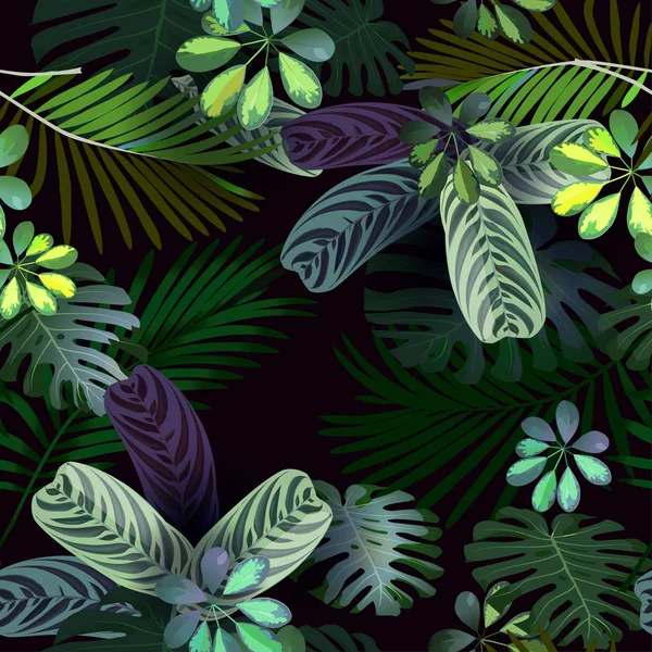 Vector seamless pattern of tropical flowers, leaves, vines: Strelitzia, Plumeria, South America, Central Africa, Southeast Asia and Australia. Monsoon forests, Mangroves.For textiles — Stock Vector