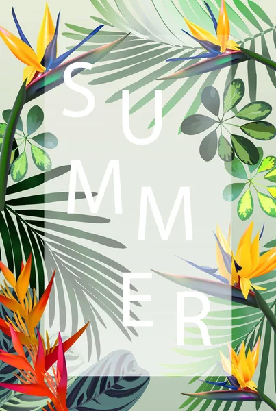 kompozisyon tropikal çiçek, yaprak, asma: STERLİÇYA, Plumeria, Güney Amerika, Orta Afrika, Güneydoğu Asya ve Avustralya. Muson ormanları, mangrovlar