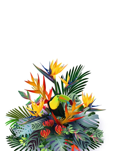 Toucans dans les forêts tropicales entre feuillage exotique, vignes, fleurs.Amérique du Sud, Afrique centrale, Asie du Sud-Est et Australie. Forêts de mousson, mangroves. Bannière vectorielle  . — Image vectorielle