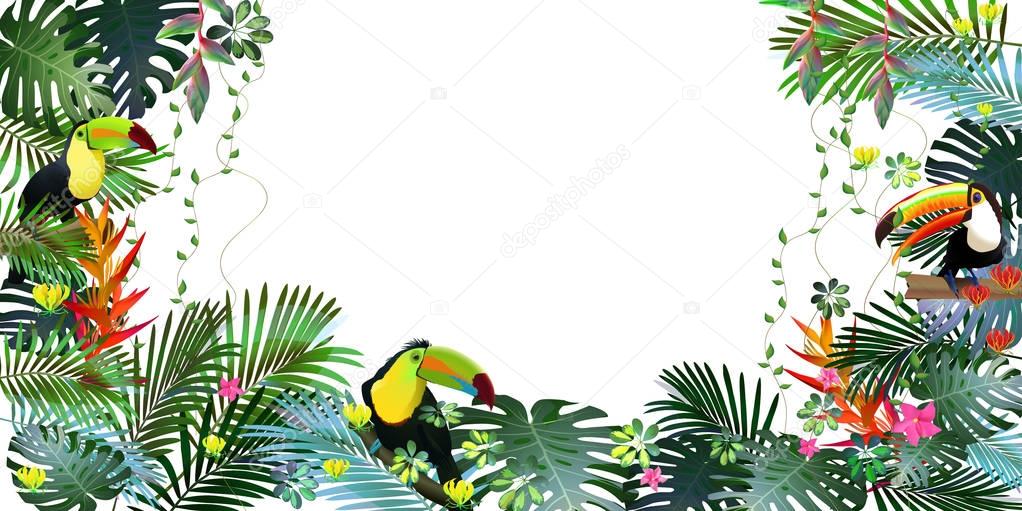Toucans and Strelitzia,  in tropical forests among exotic foliage, vines, flowers.South America, Central Africa, Southeast Asia and Australia. Monsoon forests, Mangroves.Vector banner .