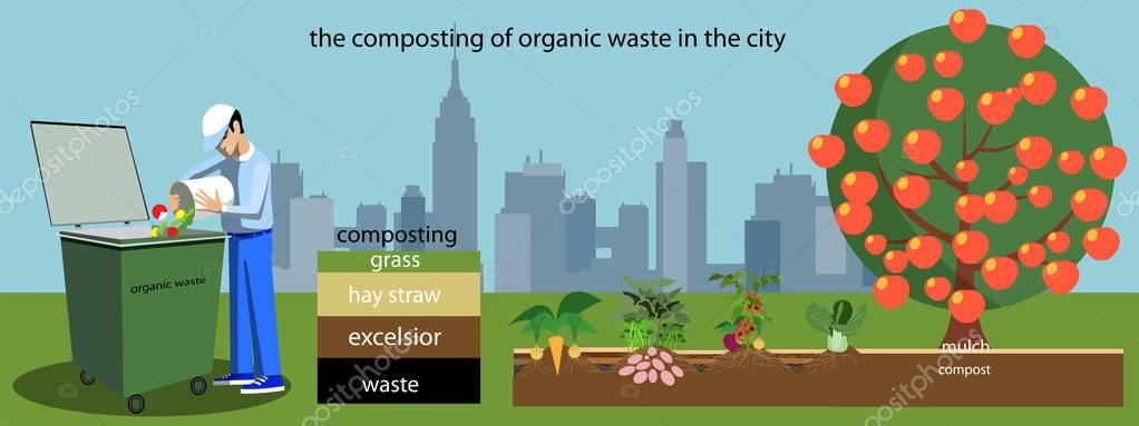 The composting of organic waste in the city..Vector illustration in flat design — Stock Illustration The composting of organic waste in the city..Vector illustration in flat design Royalty Free Stock Illustrations