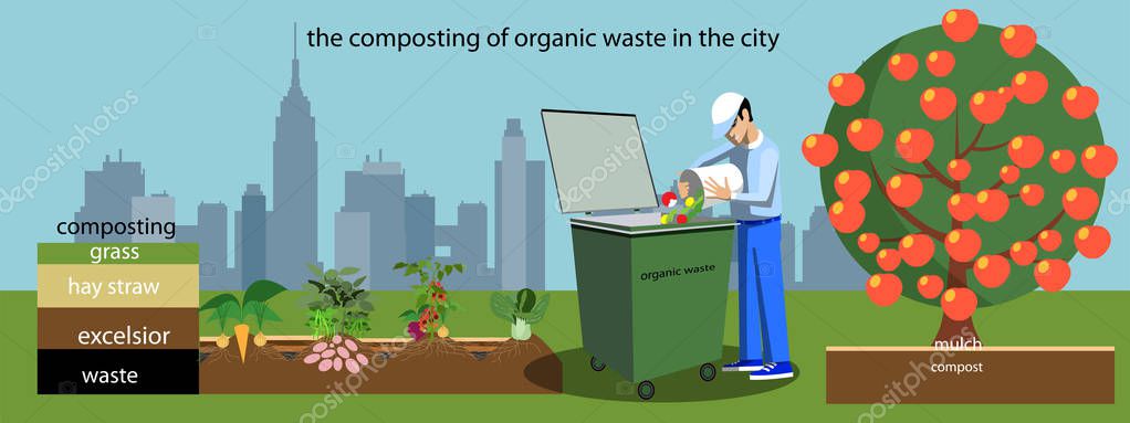The composting of organic waste in the city..Vector illustration in flat design — Stock Illustration The composting of organic waste in the city..Vector illustration in flat design Royalty Free Stock Illustrations