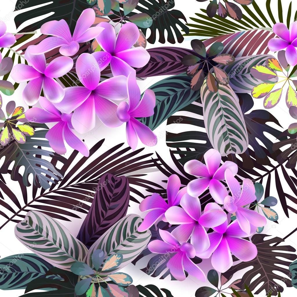 Vector seamless pattern of tropical flowers, leaves, vines: Strelitzia, Plumeria, South America, Central Africa, Southeast Asia and Australia. Monsoon forests, Mangroves.For textiles