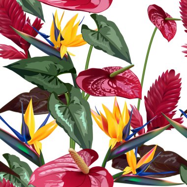 Vektör seamless modeli tropik çiçekler, yapraklar, üzüm: STERLİÇYA, Plumeria, Güney Amerika, Orta Afrika, Güneydoğu Asya ve Avustralya. Muson ormanları, Mangroves.For Tekstil