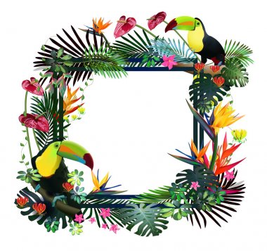 Toucans egzotik bitki örtüsü, üzüm, çiçekler arasında tropikal ormanlarda. Güney Amerika, Orta Afrika, Güneydoğu Asya ve Avustralya. Muson ormanları, Mangroves.Vector afiş .