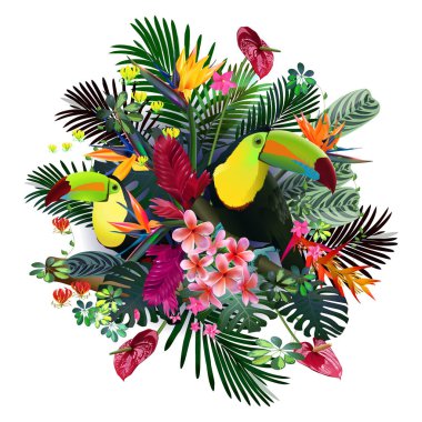 Toucans egzotik bitki örtüsü, üzüm, çiçekler arasında tropikal ormanlarda. Güney Amerika, Orta Afrika, Güneydoğu Asya ve Avustralya. Muson ormanları, Mangroves.Vector afiş .