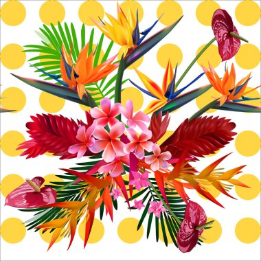 Vektör seamless modeli tropik çiçekler, yapraklar, üzüm: STERLİÇYA, Plumeria, Güney Amerika, Orta Afrika, Güneydoğu Asya ve Avustralya. Muson ormanları, Mangroves.For Tekstil