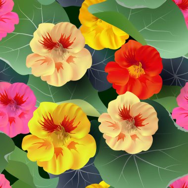 Vektör seamless modeli tropik çiçekler, yapraklar, üzüm: STERLİÇYA, Plumeria, Güney Amerika, Orta Afrika, Güneydoğu Asya ve Avustralya. Muson ormanları, Mangroves.For Tekstil