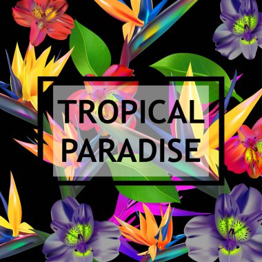 Parlak yaz çiçek kartpostallar için bileşimi