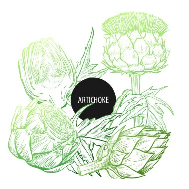 Vektör görüntü el ile çizilmiş sebze bitki enginar. Mükemmel bir menü, Bahçe çiftliği, Salonu, market, organik, vejetaryen/vegan gıdalar şablonu.