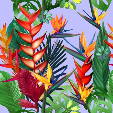 Vektör seamless modeli tropik çiçekler, yapraklar, üzüm: STERLİÇYA, Plumeria, Güney Amerika, Orta Afrika, Güneydoğu Asya ve Avustralya. Muson ormanları, mangrovlar.