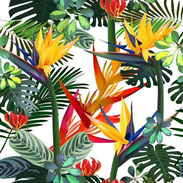 Patrón sin costura vectorial de flores tropicales, hojas, vides: Strelitzia, Plumeria, Sudamérica, África Central, Sudeste Asiático y Australia. Bosques monzónicos, manglares. — Vector de stock