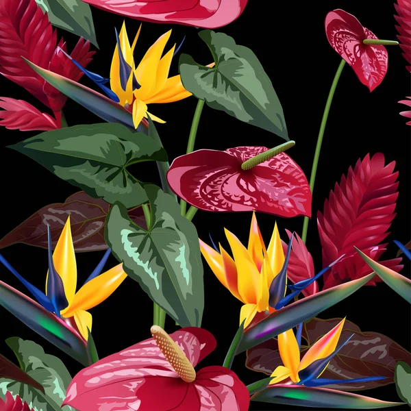 De naadloze patroon vector van tropische bloemen, bladeren, wijnstokken: Strelitzia, Plumeria, Zuid-Amerika, Centraal-Afrika, Zuidoost-Azië en Australië. Moesson bossen, Mangroves.For textiel — Stockvector