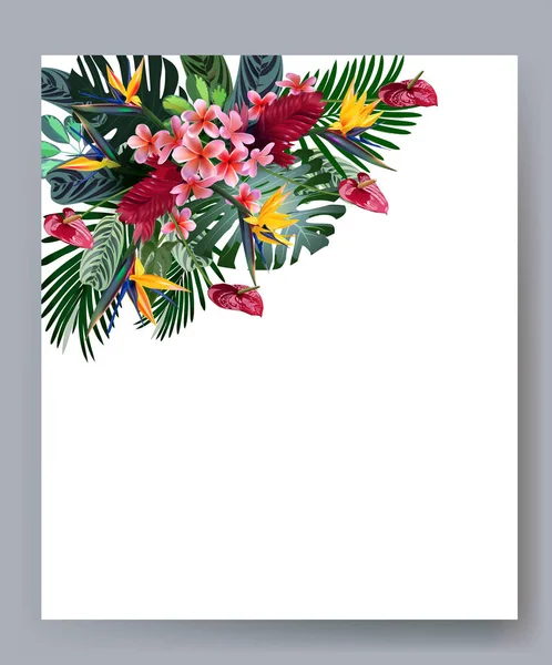 Composición de flores tropicales, hojas, vides: Strelitzia, Plumeria, Sudamérica, África Central, Sudeste Asiático y Australia. Bosques monzónicos, Manglares — Vector de stock