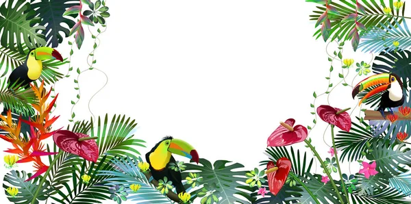 Composizione di fiori tropicali, foglie, viti: Strelitzia, Plumeria, Sud America, Africa Centrale, Sud-Est asiatico e Australia. Foreste monsoniche, Mangrovie — Vettoriale Stock