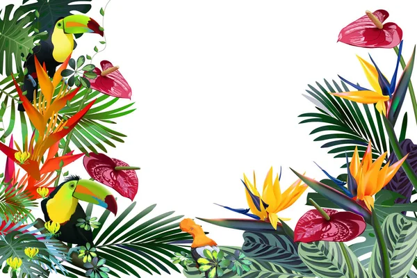 Composição de flores tropicais, folhas, videiras: Strelitzia, Plumeria, América do Sul, África Central, Sudeste Asiático e Austrália. Florestas de monções, Manguezais — Vetor de Stock