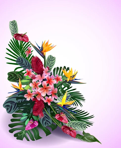 Composição de flores tropicais, folhas, videiras: Strelitzia, Plumeria, América do Sul, África Central, Sudeste Asiático e Austrália. Florestas de monções, Manguezais — Vetor de Stock