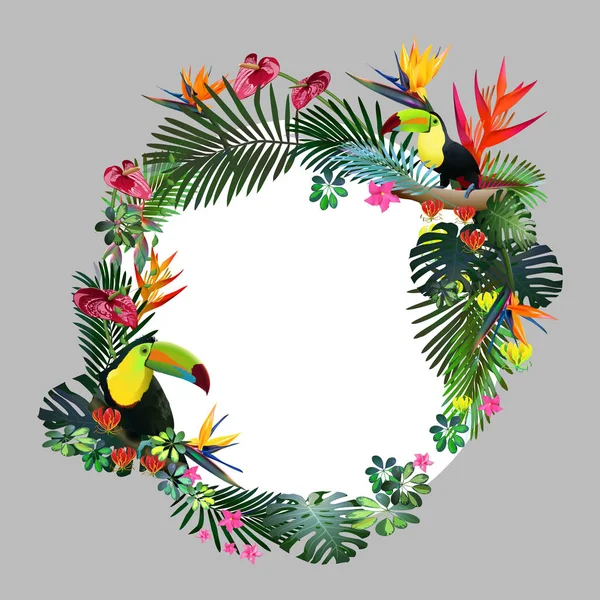 Toucans in tropical forests among exotic foliage, vines, flowers.South America, Central Africa, Southeast Asia and Australia. Monsoon forests, Mangroves.Vector banner . — Stock Vector