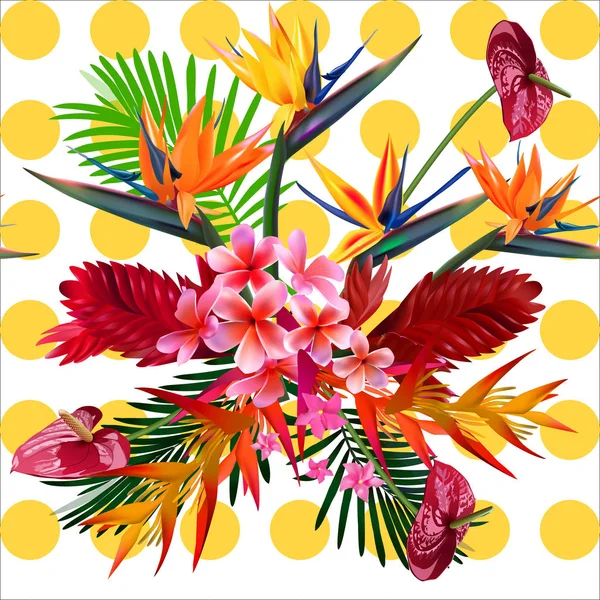 De naadloze patroon vector van tropische bloemen, bladeren, wijnstokken: Strelitzia, Plumeria, Zuid-Amerika, Centraal-Afrika, Zuidoost-Azië en Australië. Moesson bossen, Mangroves.For textiel — Stockvector