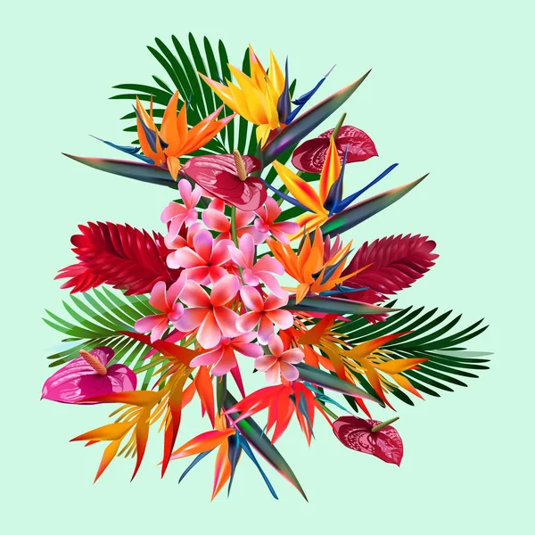 Composition de fleurs tropicales, feuilles, vignes : Strelitzia, Plumeria, Amérique du Sud, Afrique centrale, Asie du Sud-Est et Australie. Forêts de mousson, Mangroves — Image vectorielle