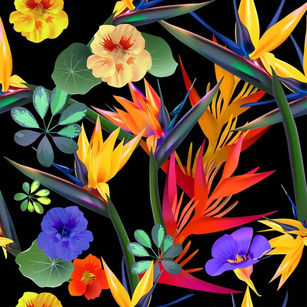 Patrón sin costura vectorial de flores tropicales, hojas, vides: Strelitzia, Plumeria, Sudamérica, África Central, Sudeste Asiático y Australia. Bosques monzónicos, manglares. — Vector de stock