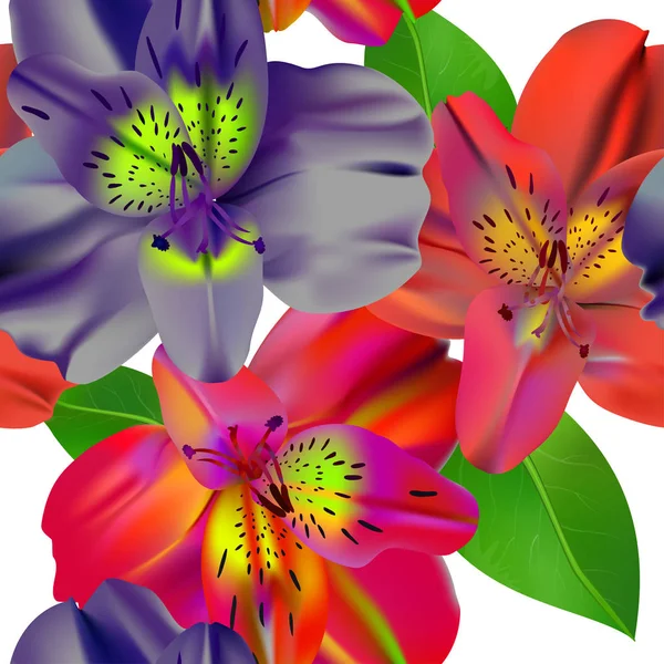 Wektor Wzór Tropikalnych Kwiatów Liści Winorośli Strelicia Plumeria Ameryki Południowej — Wektor stockowy