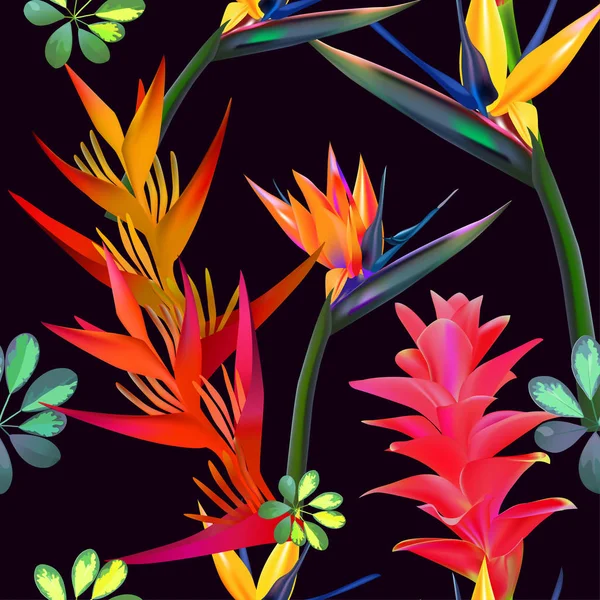 De naadloze patroon vector van tropische bloemen, bladeren, wijnstokken: Strelitzia, Plumeria, Zuid-Amerika, Centraal-Afrika, Zuidoost-Azië en Australië. Moesson bossen, Mangroves.For textiel — Stockvector