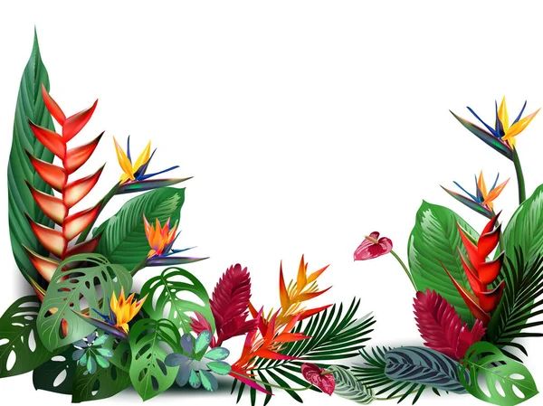 Composición de flores tropicales, hojas, vides: Strelitzia, Plumeria, Sudamérica, África Central, Sudeste Asiático y Australia. Bosques monzónicos, Manglares — Vector de stock