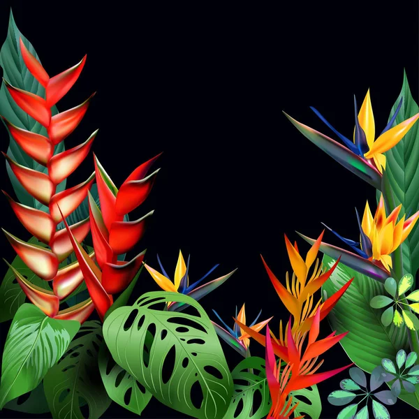 Composition de fleurs tropicales, feuilles, vignes : Strelitzia, Plumeria, Amérique du Sud, Afrique centrale, Asie du Sud-Est et Australie. Forêts de mousson, Mangroves — Image vectorielle