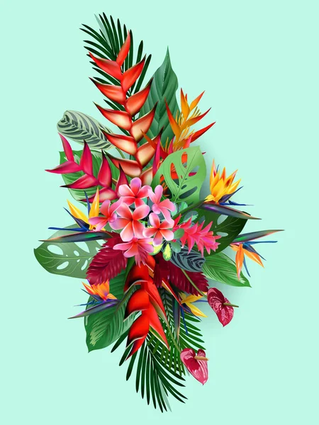 Composição de flores tropicais, folhas, videiras: Strelitzia, Plumeria, América do Sul, África Central, Sudeste Asiático e Austrália. Florestas de monções, Manguezais — Vetor de Stock