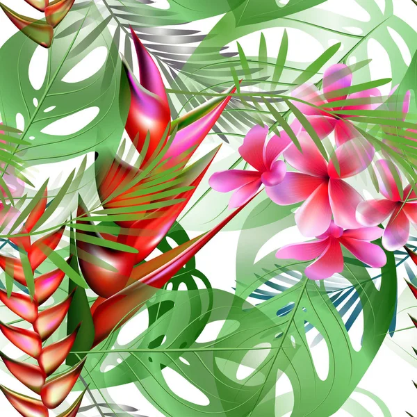 Patrón sin costura vectorial de flores tropicales, hojas, vides: Strelitzia, Plumeria, Sudamérica, África Central, Sudeste Asiático y Australia. Bosques monzónicos, Manglares . — Vector de stock