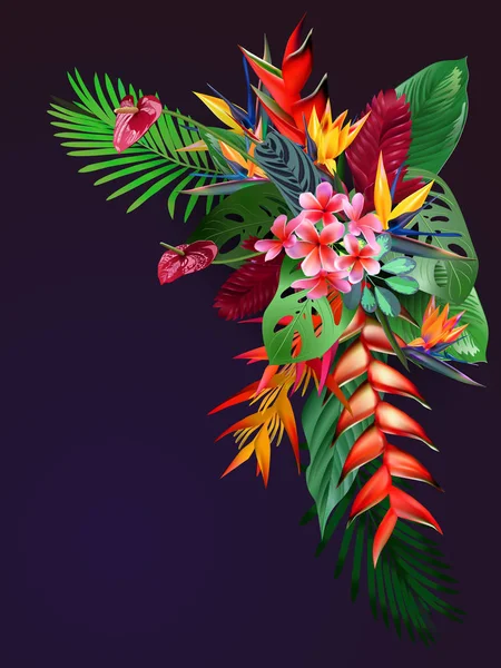 Composição de flores tropicais, folhas, videiras: Strelitzia, Plumeria, América do Sul, África Central, Sudeste Asiático e Austrália. Florestas de monções, Manguezais —  Vetores de Stock