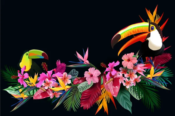 Σύνθεση από τροπικά λουλούδια, φύλλα, άμπελοι: Strelitzia, Πλουμέρια, Νότια Αμερική, Κεντρική Αφρική, Νοτιοανατολική Ασία και την Αυστραλία. Δάση μουσώνα, ριζοφόρων — Διανυσματικό Αρχείο