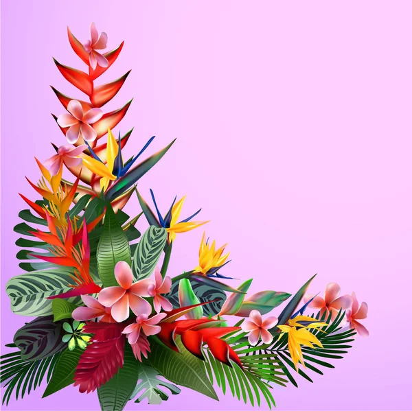 Letní Pozadí Tropických Květin Pro Spa Design Exotické Cestování Dovolená — Stockový vektor