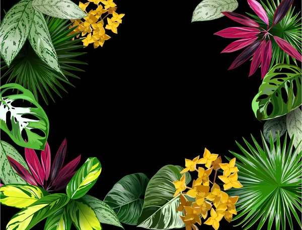 Transparent Wektor Tropikalnych Kwiatów Liści Ilustracja Orms Tropikalne Kwiaty Dla — Wektor stockowy