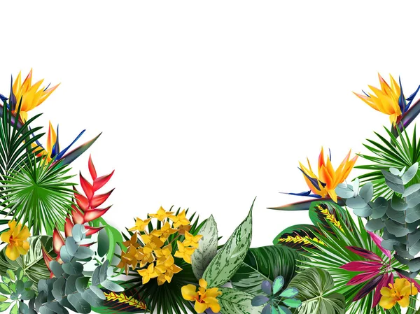 Bandera Vectorial Flores Tropicales Hojas Ilustración Las Tormentas Flores Tropicales — Vector de stock